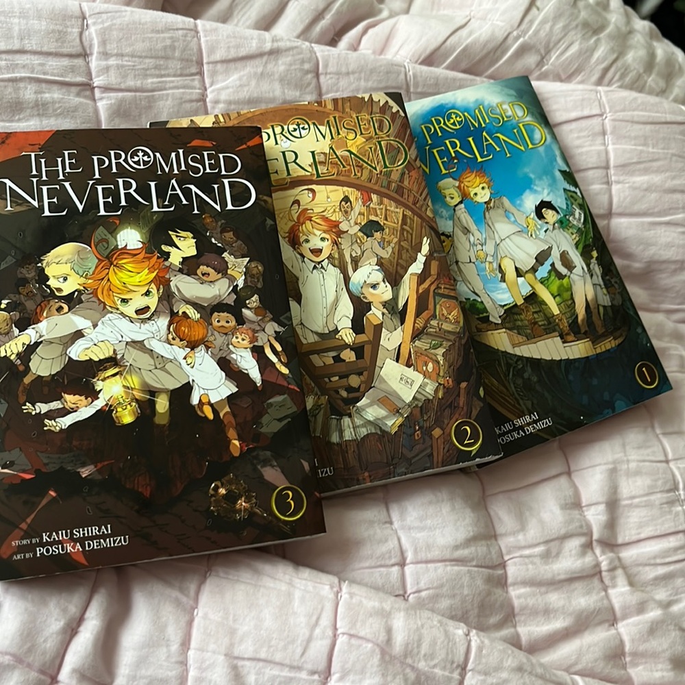 The promise never land book series